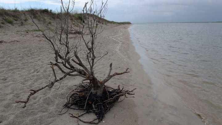Pender's coastal gem: The Point at Topsail Beach