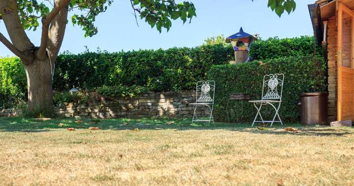 Stop brown lawn patches in August if you avoid mowing mistake