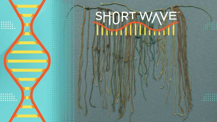 A lock of hair could rewrite assumptions about the Inca Empire : Short Wave : NPR