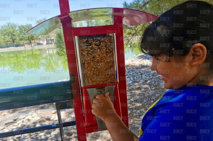 Ya puedes alimentar a los patos del Central sanamente