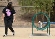 Murrieta’s new dog park opens at a refurbished Glen Arbor Park