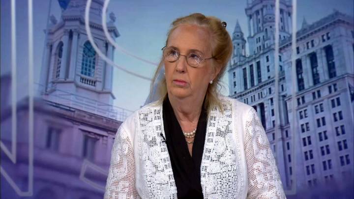 Councilmember Gale Brewer discusses report on 'ghost plates'