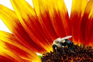 Richmond BC August 30, 2025 weather, news headlines, photos