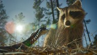 Netflix Sets Nature Docu-Series 'Nightmares of Nature: Cabin in the Woods' from Blumhouse