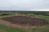 Springfield reports Zone 1 storm debris pickup near completion