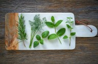 Fresh Herbs: The Overlooked Source of Salmonella and Cyclospora