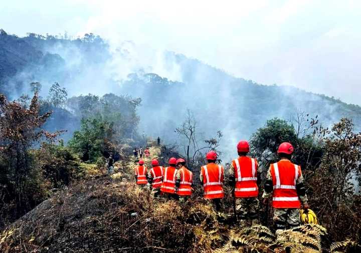 Extinguen 5 incendios forestales en Pasco, Áncash, Madre de Dios y Ayacucho