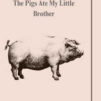 Niagara Falls native releases first novel