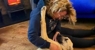 Emmerdale star wears necklace made of dead dog's chest hair in touching tribute