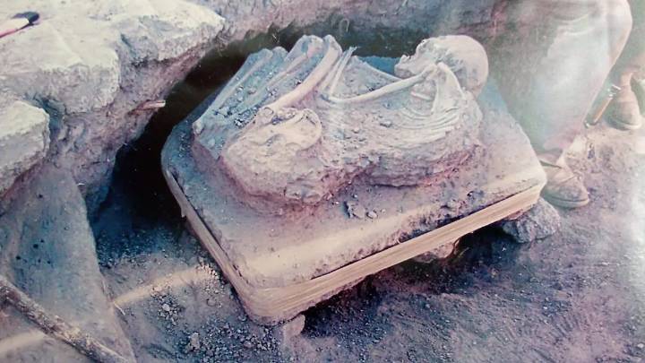 ¿Quieres estudiar Arqueología o Antropología y vives en Aguascalientes? Prepárate para viajar
