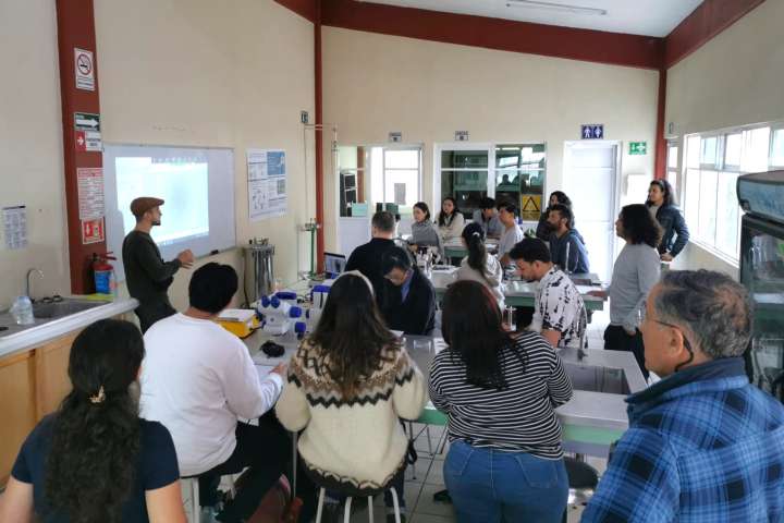 Concluyó Simposio Internacional de Luciérnagas 2025 con nuevas vertientes para su estudio: UATx