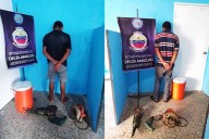Dos gatos bajo la lluvia mudaban ferretería y la SIP les dio abrigo en Polidelta (+video)