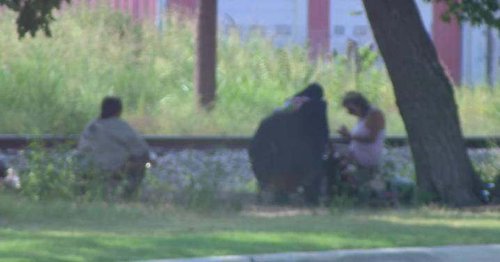 McKinney business owners share concerns over homelessness as city considers new ordinances to address issue