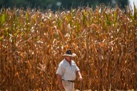Record corn crop puts Kansas farmers at risk