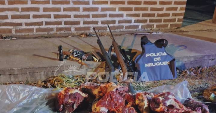 Caza ilegal: los interceptaron con 75 kilos de carne de ciervo en el parque nacional Nahuel Huapi