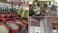 Decomisan casi cinco toneladas de droga en Chiapas, Tijuana y Guerrero