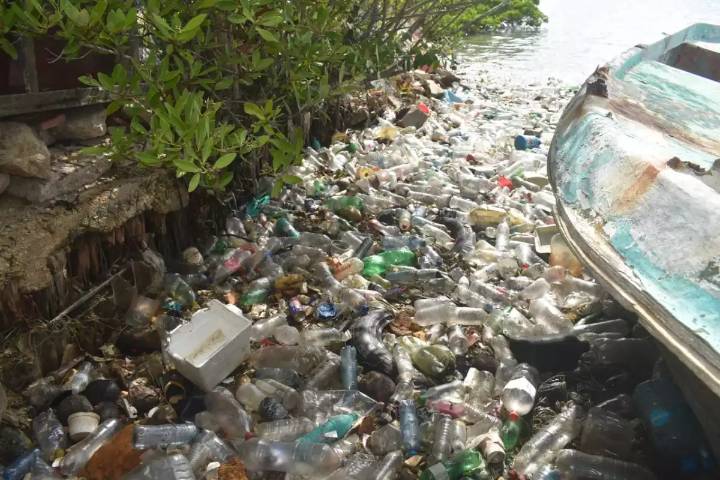 Hallan un tiradero de basura en Yucalpetén; abarca al menos 20 metros cuadrados de la costa