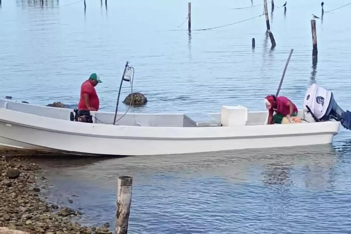Ribereños denuncian uso de artes prohibidas en temporada de pulpo en Champotón