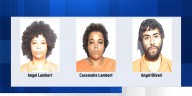 13 children removed from ‘deplorable’ living conditions in Toledo, three adults arrested