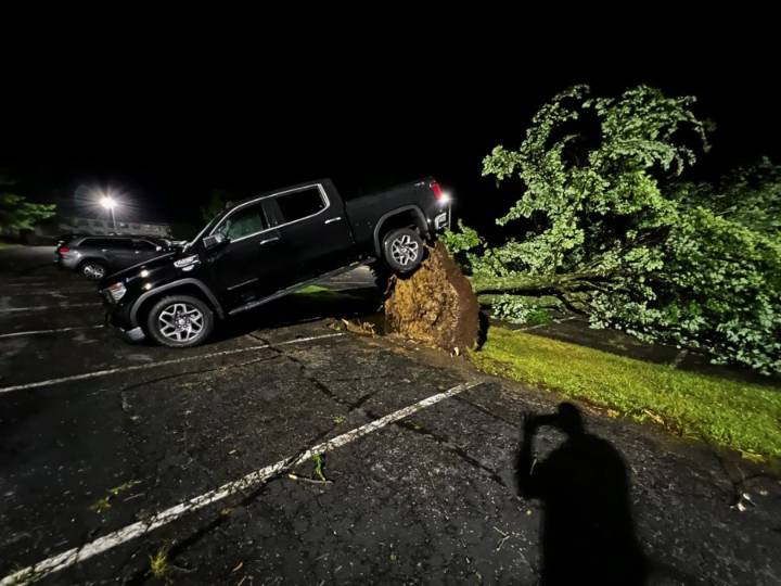 Tree falls on man amidst severe storm in Monroe County