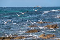 The next generation of aquaculture