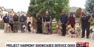 Omaha organization holds event showcasing different talents of service dogs