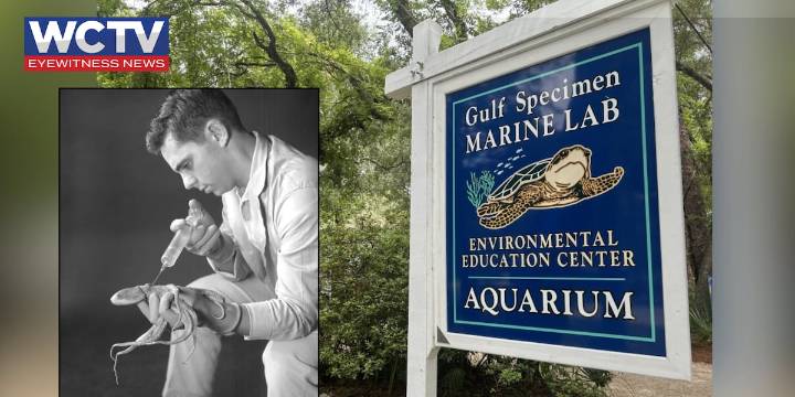 Behind the Story: How the Gulf Specimen Marine Lab fueled decades of discovery
