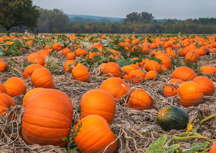 NOAA Forecast Predicts Warmer