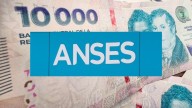 ANSES habilita la inscripción para la Libreta AUH: cómo cobrarlo y cuánto es