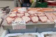 Brazil’s shark meat problem