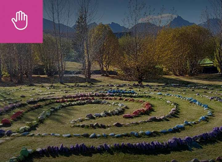 Invitan a caminata por el Día Mundial del Árbol