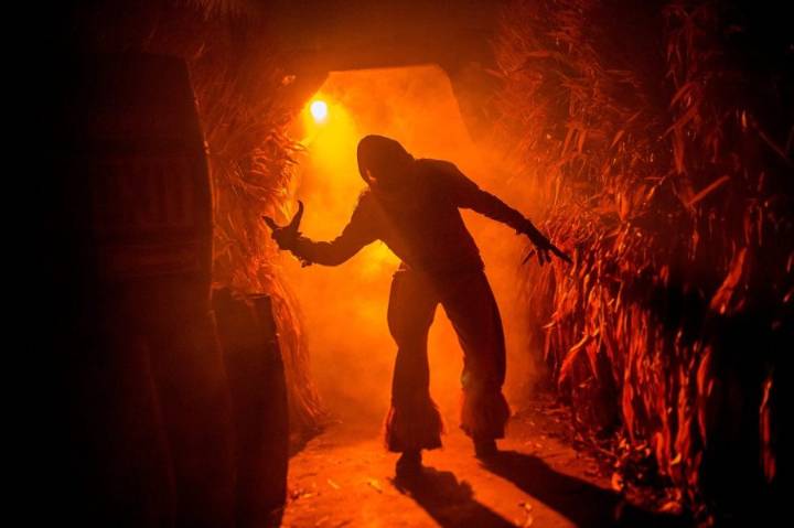 Cedar Point hiring for HalloWeekends: How to apply
