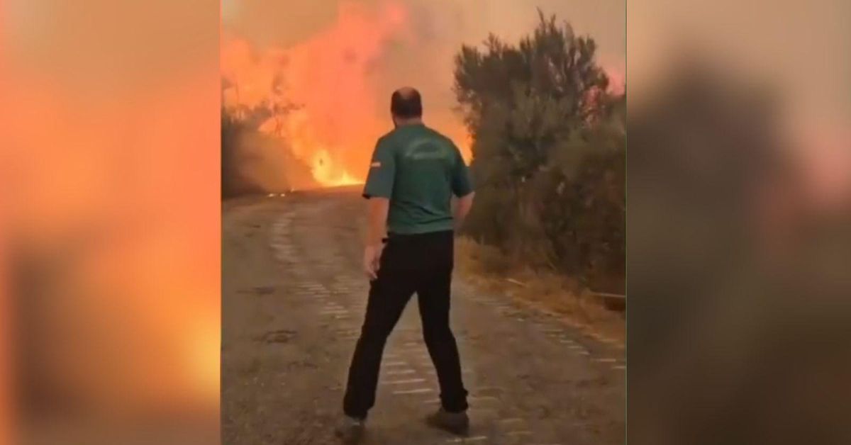 Video | La Guardia Civil ante las llamas en Cenza