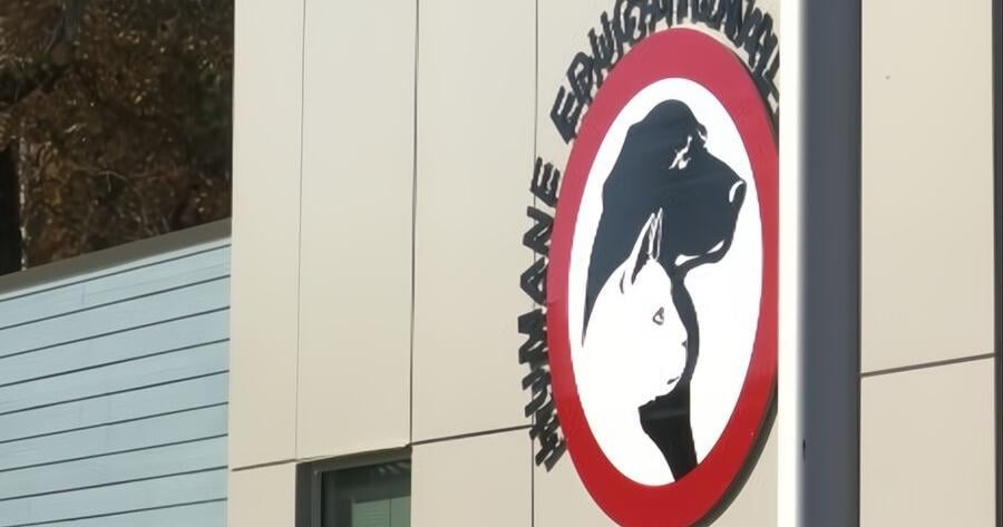 HES's Community Spay/Neuter Clinic finishes first week of surgeries