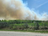 Fire Bulletin #61 - Low fire danger in majority of the province
