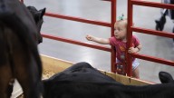 Photos: Fairgoers enjoy their Friday at the Iowa State Fair
