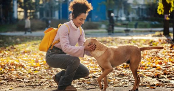 Qué significa que un perro te siga en la calle y cuál es la razón poco conocida