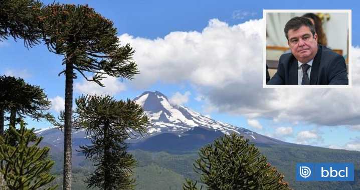 "Se han cometido errores": Gobierno por polémica autorización de tala de araucarias para proyecto vial