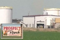 6 people dead in freak 'dairy accident' at Colorado farm