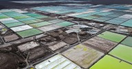 ¿Comprar o vender? Mercado se divide ante los resultados de SQM y el futuro de su acción
