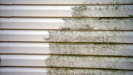 Why Vinegar Is Your Secret Weapon To Cleaning Mildew From Vinyl Siding