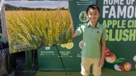 Springfield boy places first in statewide photography contest