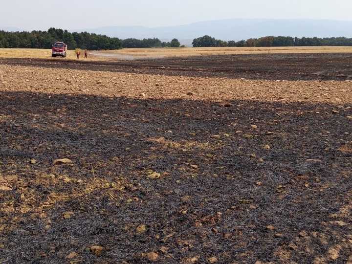 Controlado un nuevo incendio en la zona de Cañas