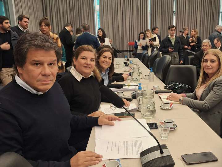 Un proyecto para instrumentar la detección temprana del Alzheimer logró amplio respaldo en Diputados