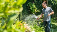 Watering Plants In Full Sun - Does It Cause More Harm Than Good?