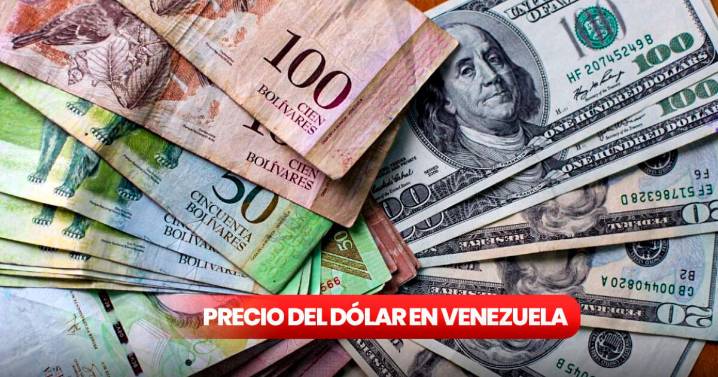 Precio del dólar paralelo en Venezuela hoy, 25 de agosto de 2025: consulta la tasa actual según Monitor Dólar