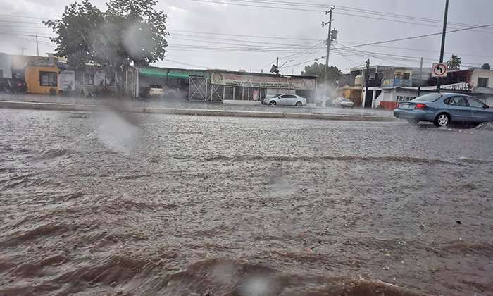 [GALERÍA] Azota fuerte tormenta de verano causa caída de árboles y anuncios
