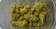 Trump estudia reclasificar la marihuana como droga menos peligrosa