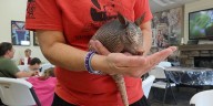 Wild West Wildlife Rehabilitation Center hosts inclusion summer camp