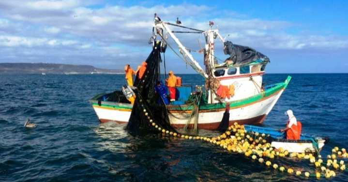 PRODUCE: PBI pesquero creció 34.8 % en julio de 2025 por la mayor captura de anchoveta